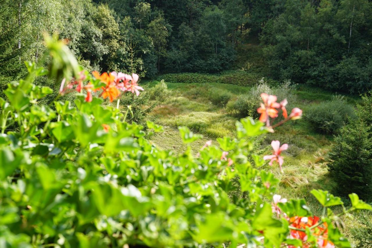 Jezirko Lesni Restaurant & Penzion Jáchymov Dış mekan fotoğraf