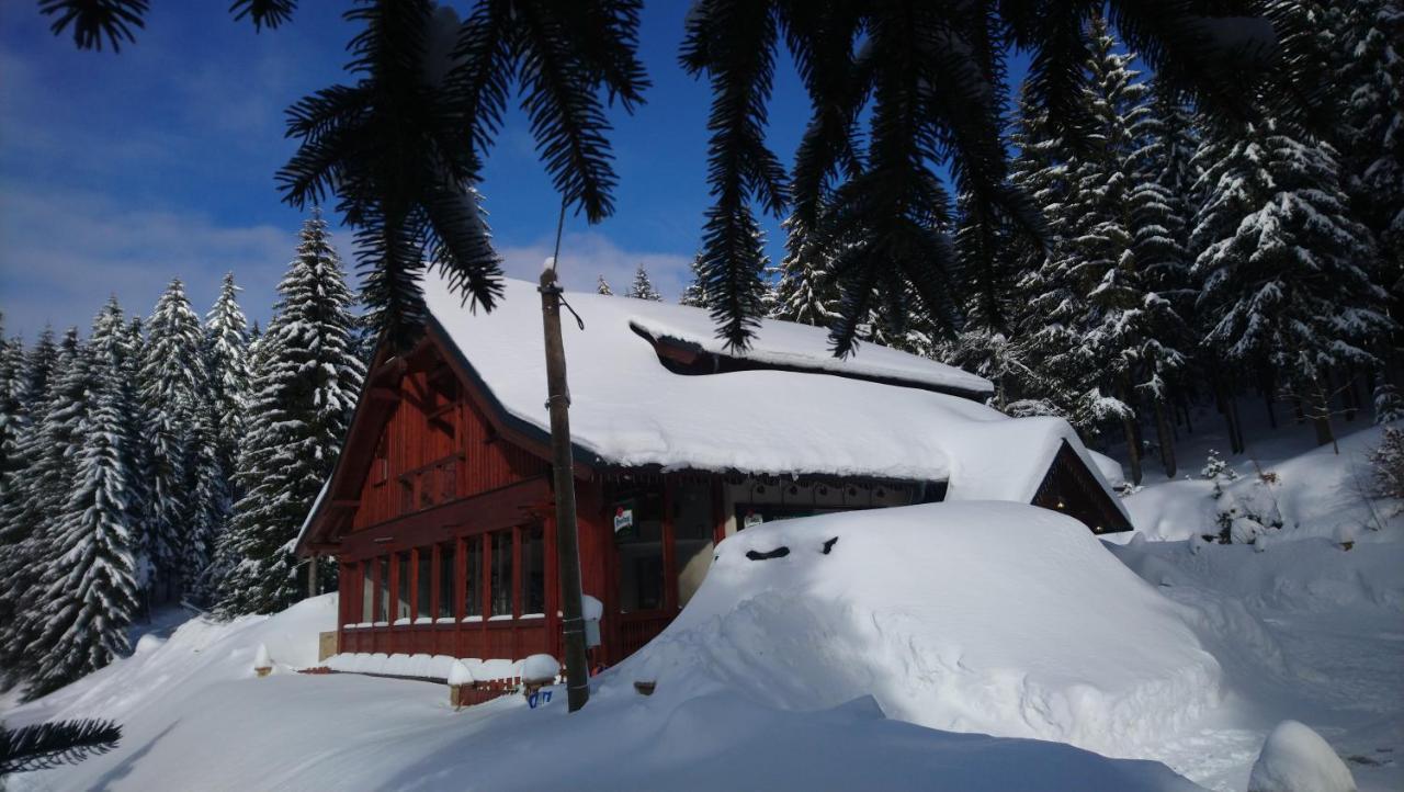 Jezirko Lesni Restaurant & Penzion Jáchymov Dış mekan fotoğraf