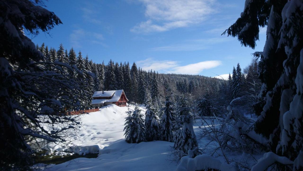 Jezirko Lesni Restaurant & Penzion Jáchymov Dış mekan fotoğraf